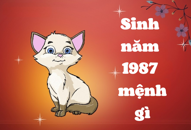 Tổng kết và lời khuyên cho người sinh năm 1987