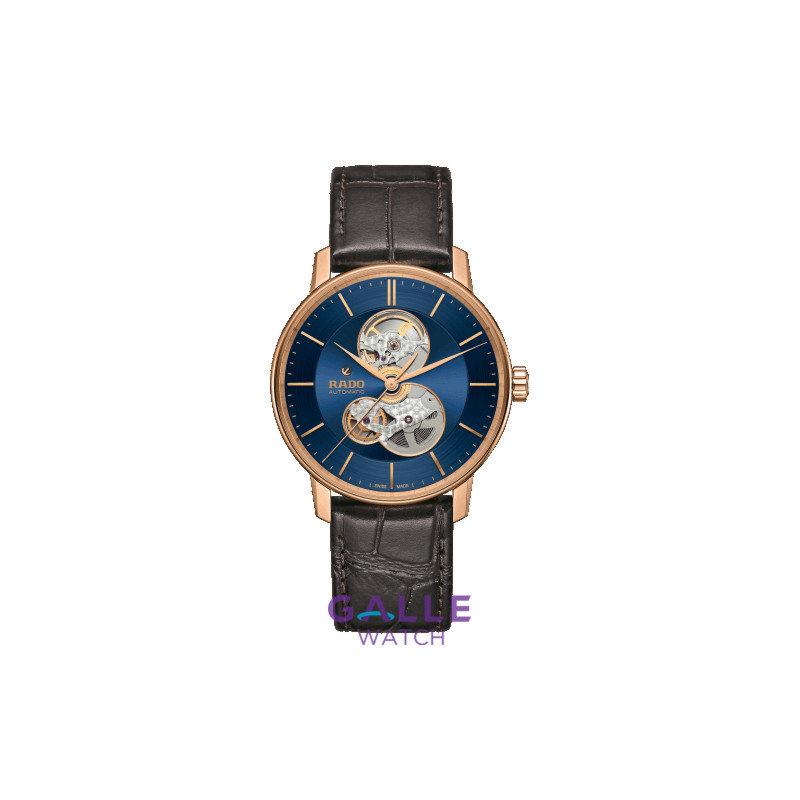 Đồng hồ  Rado R22895215